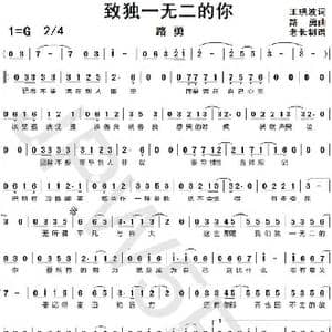 致独一无二的你_歌曲简谱_词曲:王洪波 路勇