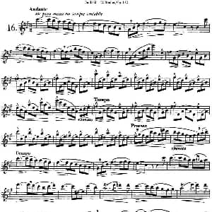 长笛曲谱 | 二十首练习曲作品132号之16 Garibold 加里波第