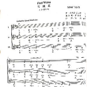 雪绒花三部合唱谱_歌曲简谱