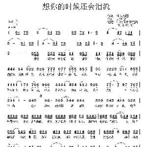 想你的时候还会泪流_歌曲简谱_词曲:水火相容 天子俊