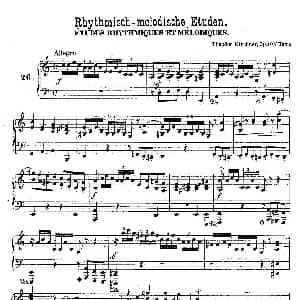 36 Etudes Rhythmiques et Melodiques Op.105 钢琴谱 德 狄奥多•柯希纳