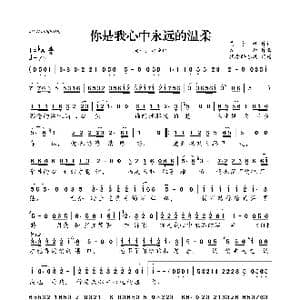你是我心中永远的温柔_歌曲简谱_词曲:九雨 贾争艳