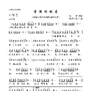 等待你的爱_歌曲简谱_词曲:苏军 苏军
