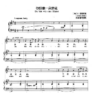 你好像一朵鲜花 匈 _外国歌谱_词曲: 匈 F.李斯特