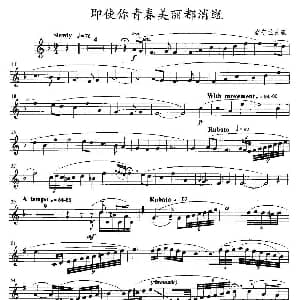 即使你青春美丽都消逝 小号