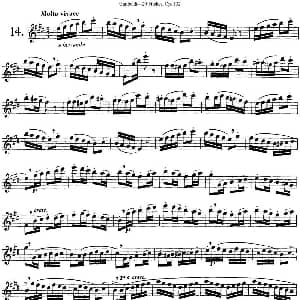 长笛曲谱 | 二十首练习曲作品132号之14 Garibold 加里波第