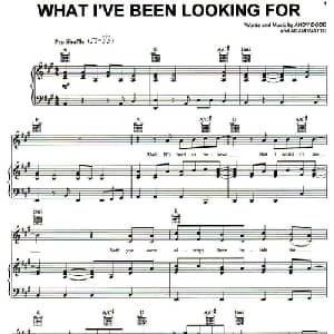 What I've Been Looking For 美国 _外国歌谱