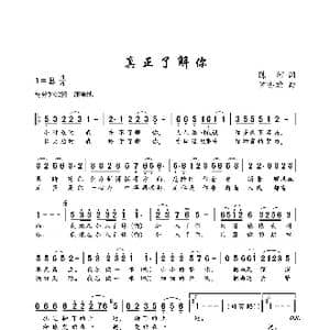 真正了解你_歌曲简谱