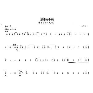 二胡谱 | 迷路的小孩 选自电影 龙猫 久石让