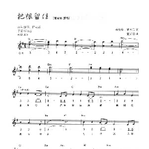 电子琴谱 | 把根留住 线简混排弹唱谱 童安格 黄庆元 童安格