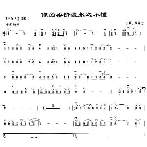 二胡谱 | 你的柔情我永远不懂