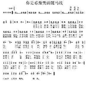 你是那最美的斑马线_歌曲简谱_词曲:陈奇 姜振
