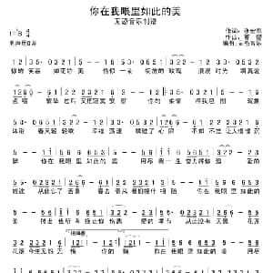 你在我眼里如此的美_通俗唱法乐谱_词曲:张宏凯 若惜