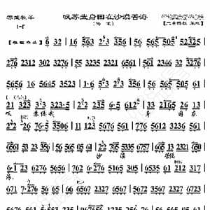 苏武牧羊 叹苏武身困在沙漠苦海_歌曲简谱_词曲:暂无 恒流星制谱