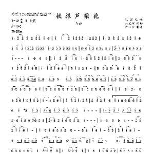拔根芦柴花_歌曲简谱