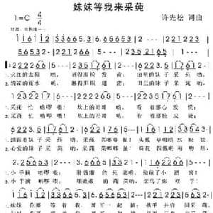 妹妹等我来采莼_民歌简谱_词曲:许先松 许先松