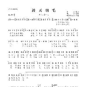 ​漫天羽毛_歌曲简谱_词曲:贺磊 潮汐