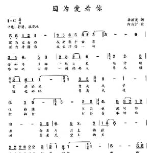 因为爱着你_通俗唱法乐谱_词曲:岳颖茂 阿汝汗