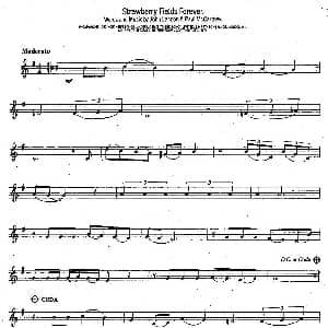 萨克斯谱 | Strawberry Fields Forevre