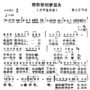 想你想到梦里头_通俗唱法乐谱_词曲:黄大军 黄大军