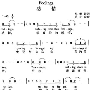 Feelings 感情_外国歌谱_词曲:晚枫译词 秉友配歌