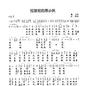 拉骆驼的黑小伙_歌谱投稿_词曲:敏岐 张颂