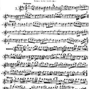 长笛曲谱 | 德维埃纳六个长笛二重奏小段Op.82 Flute 1 NO.3 Devienne 德维埃纳