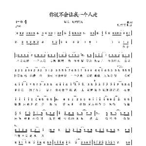 你说不会让我一个人走_歌谱投稿_词曲:一歌 灿烂阿龙