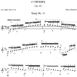 Mauro Giuliani 12 Studies,Op.48 吉他谱