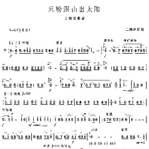 二胡谱 | 只盼深山出太阳 王国潼编曲