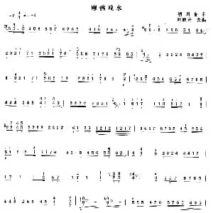 扬琴谱 | 寒鸦戏水