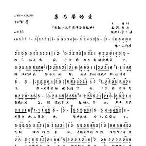 康乃馨的爱_歌曲简谱_词曲:王杨 王路明