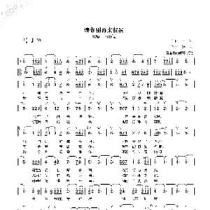 请你别再来找我_歌曲简谱_词曲:作词,詹 啸 作曲 汤 尼
