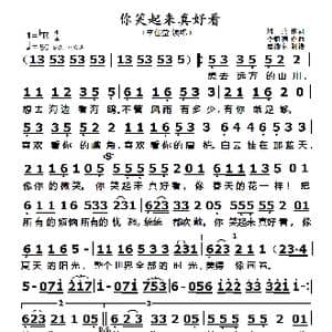 你笑起来真好看_歌曲简谱_词曲:周兵 李凯稠