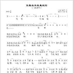 你是雄鹰我是翅膀_歌谱投稿