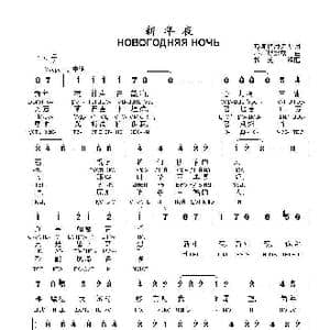 新年夜Новогодняя ночь_歌曲简谱_词曲:В .斯捷潘诺夫 阿.柯斯玖克