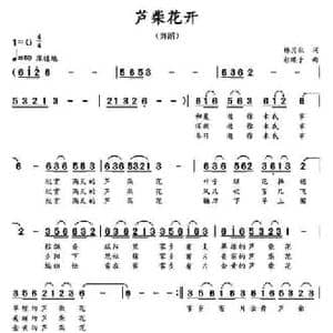 芦柴花开_民歌简谱_词曲:杨月秋 彩蝶子