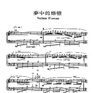 梦中的婚礼 原版 _歌谱投稿