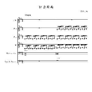 狂音舞曲 中华传统弦乐齐奏 尤伟志