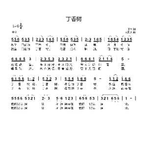 丁香树_歌曲简谱_词曲:于平 刘新太