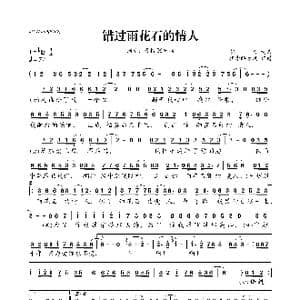 错过雨花石的情人_歌曲简谱_词曲:胡力 胡力