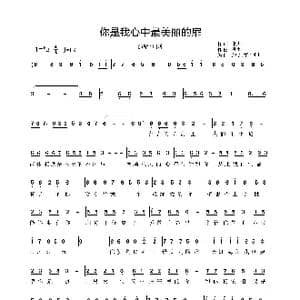 你是我心中最美丽的扉_歌曲简谱_词曲:朗坤 朗坤