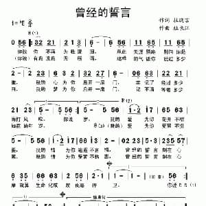 曾经的誓言_通俗唱法乐谱_词曲:杜晓言 杜长江