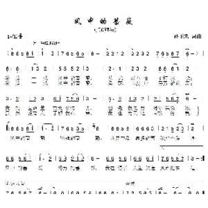 风中的蔷薇_歌曲简谱_词曲:孙卫东 孙卫东