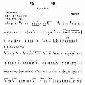 葫芦丝谱 | 嗲妹 郑江力