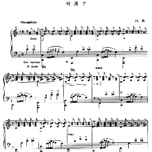 树荫下 钢琴谱 托梅