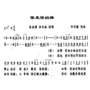 你走你的路_通俗唱法乐谱_词曲:李宗盛 李宗盛