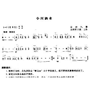 二胡谱 | 小河淌水 云南民歌 王莉莉订谱