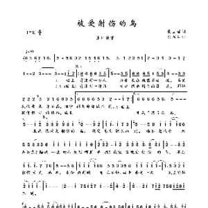 被爱射伤的鸟_歌曲简谱_词曲:张国强 徐茧生