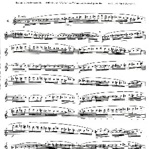 长笛曲谱 | 12首大技巧练习曲之2 Moyse 莫伊斯
